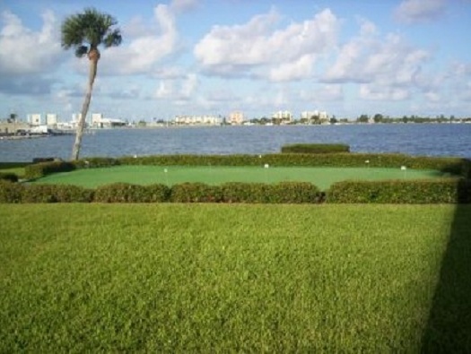 Putting Green Putting Green